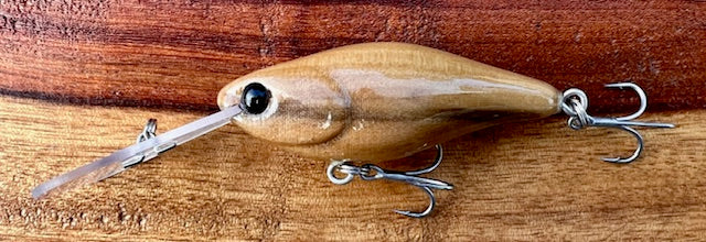 Gudgeon 58 Nude