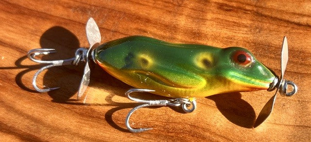 Litoria 60 Fizzer (frog)