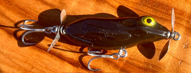 Litoria 60 Fizzer (frog)