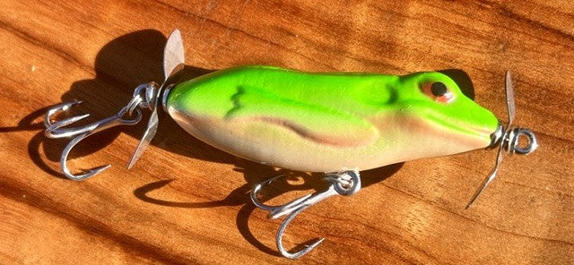 Litoria 60 Fizzer (frog)