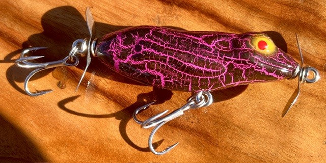 Litoria 60 Fizzer (frog)