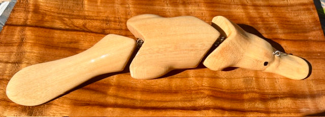 Platypus Australiana Nudes