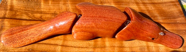 Platypus Australiana Nudes